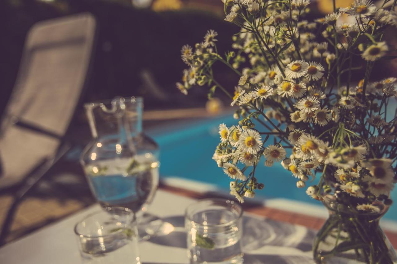 Agriturismo I Suri אסטי מראה חיצוני תמונה