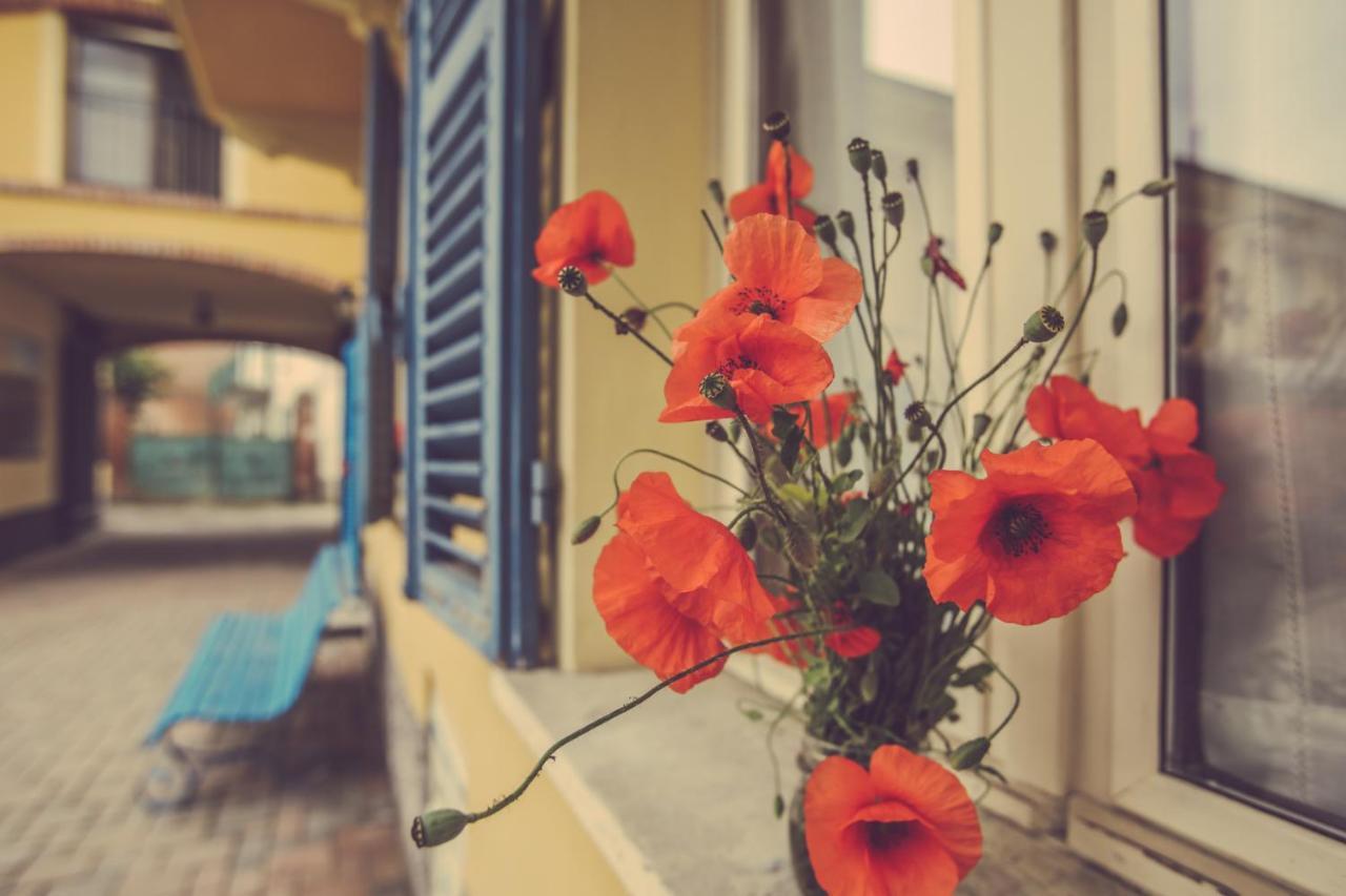 Agriturismo I Suri אסטי מראה חיצוני תמונה